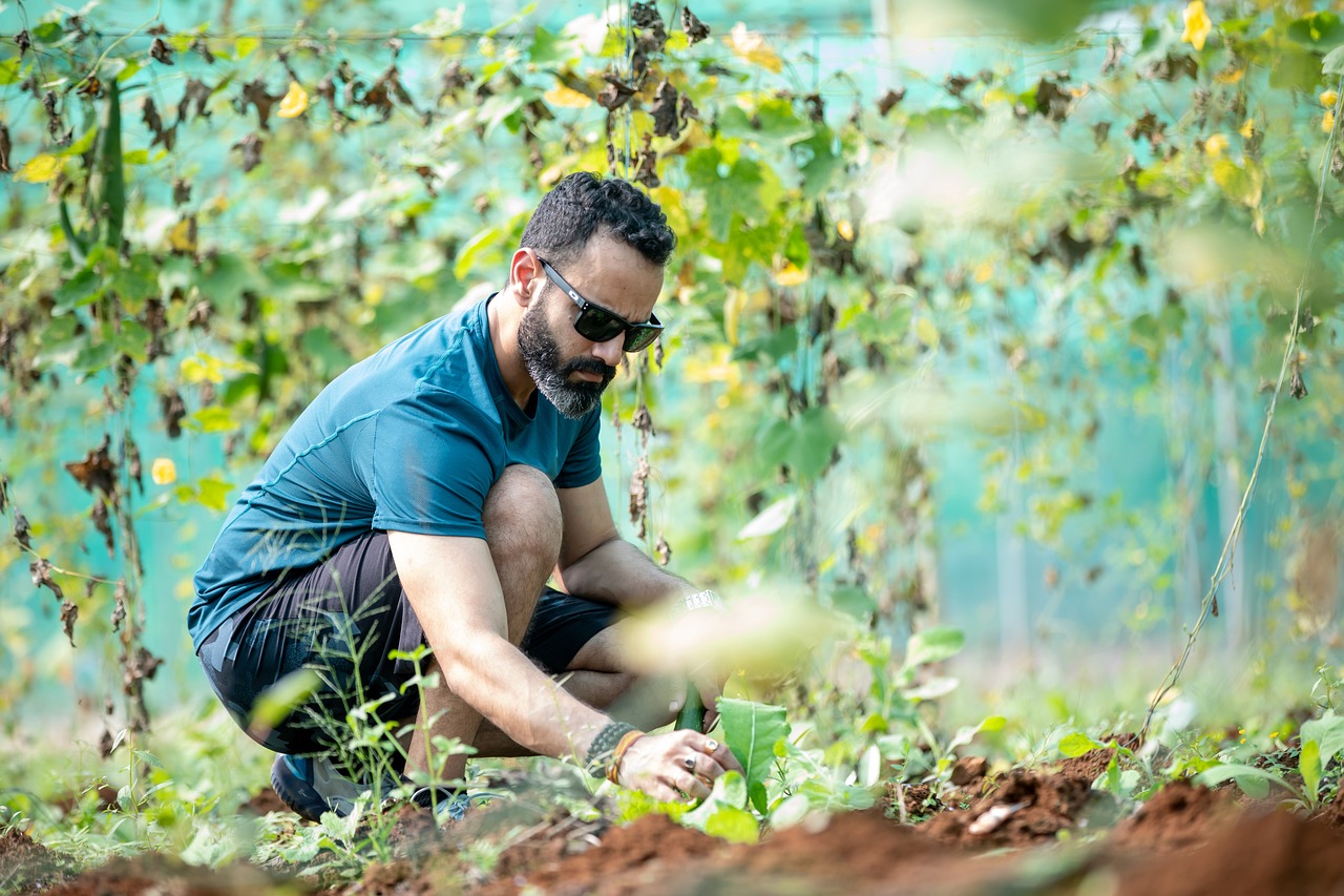 agriculture, man, farmer-6942153.jpg